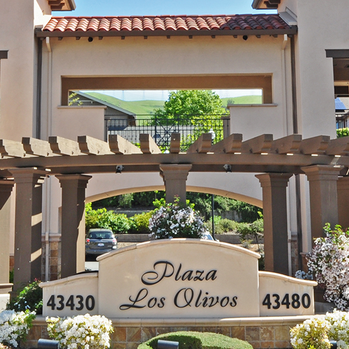 Plaza Los Olivos